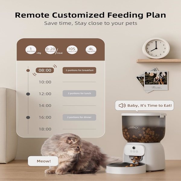 Automatic Cat Feeder With Camera